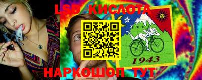 круглые Будённовск