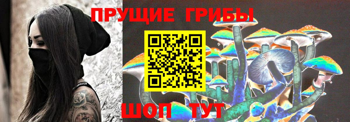 Псилоцибиновые грибы прущие грибы Стерлитамак