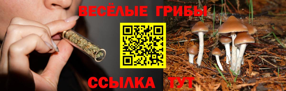 Стерлитамак  Галлюциногенные грибы прущие грибы  Вход с VPN  Галлюциногенные грибы GOLDEN TEACHER 